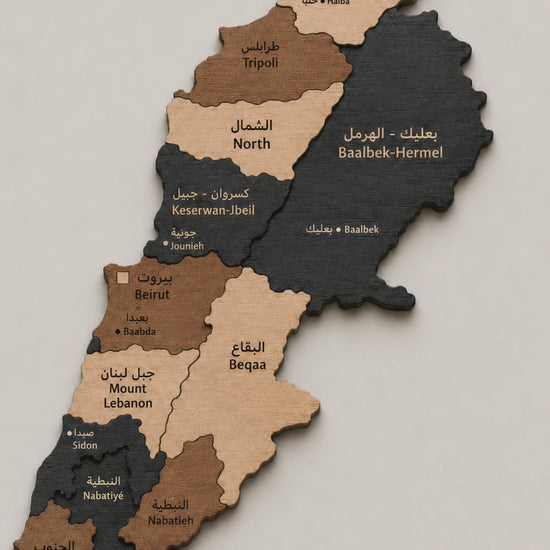 3D Wooden map of lebanon on the wall